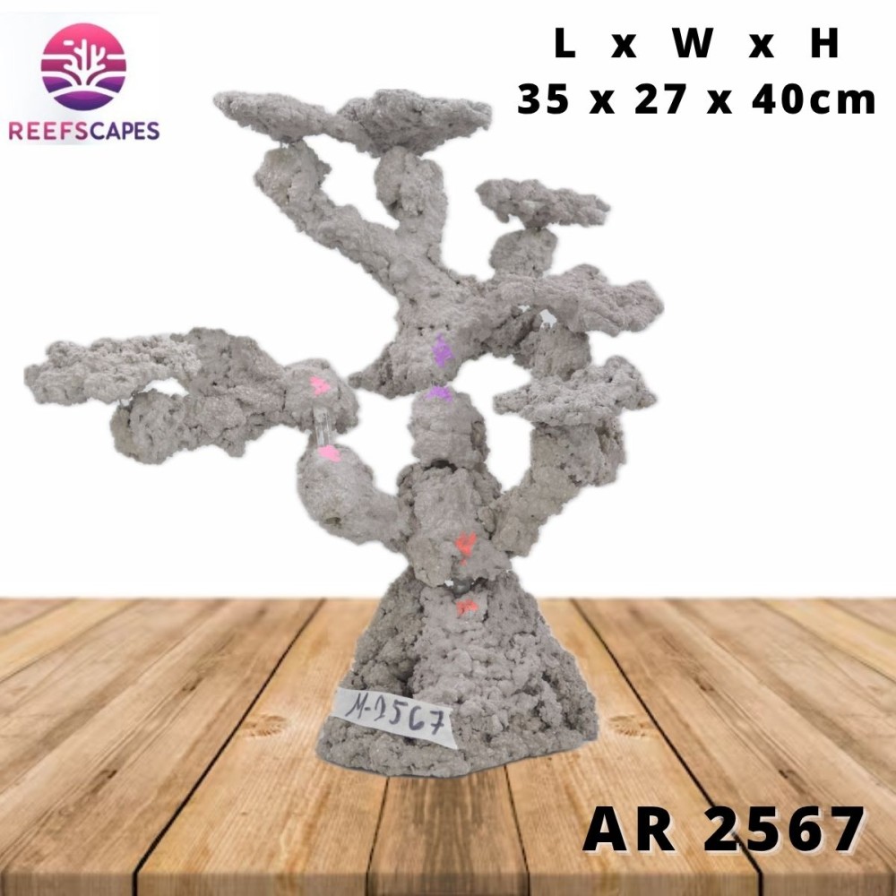 ReefScapes Medium Scape Ref 2567