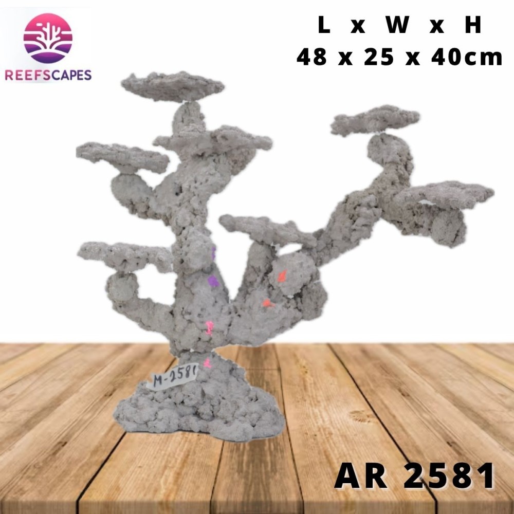 ReefScapes Medium Scape Ref 2581