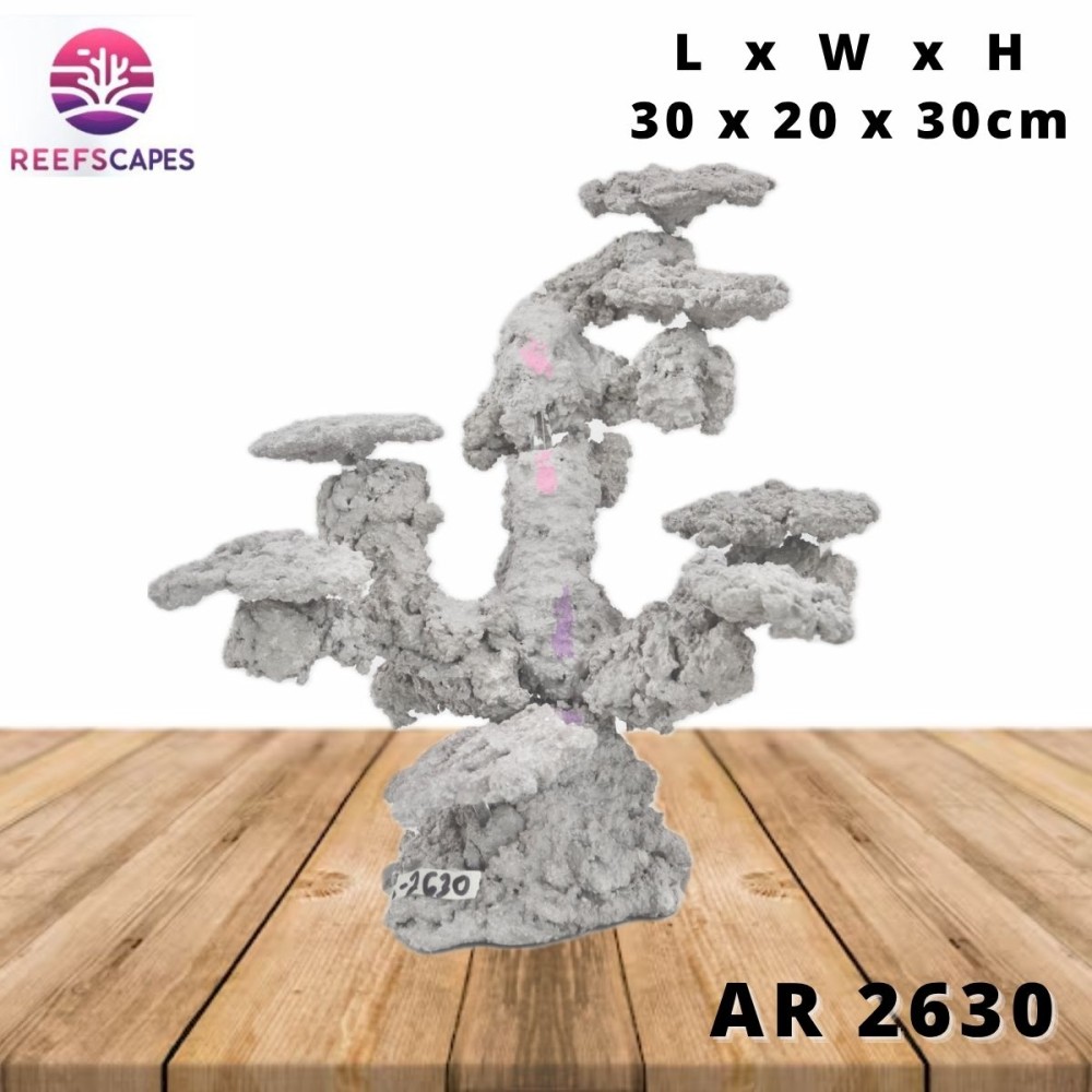 ReefScapes Small Scape Ref AR 2630