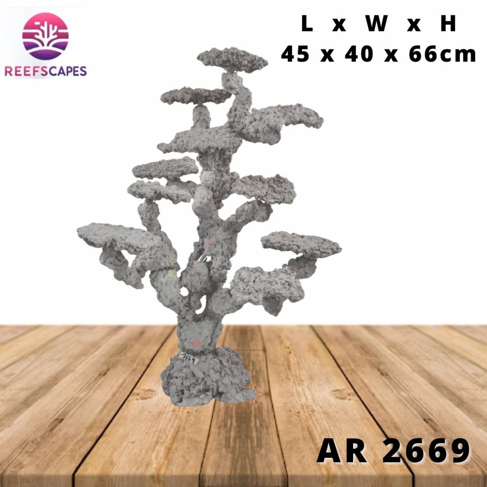 ReefScapes X-Large Scape Ref 2669