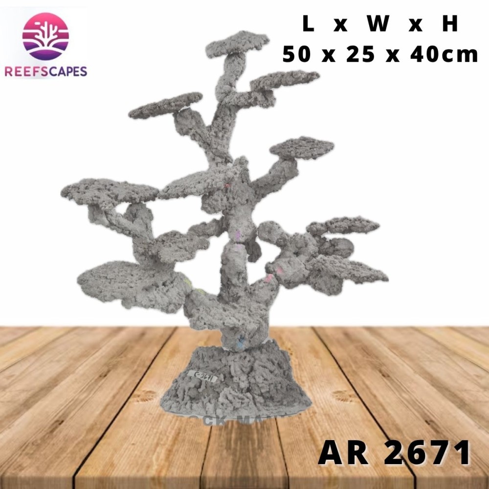 ReefScapes X-Large Scape Ref 2671