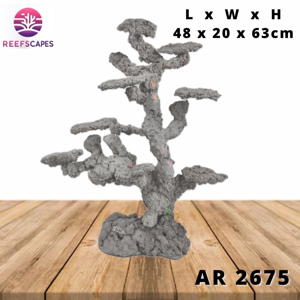 ReefScapes X-Large Scape Ref 2675