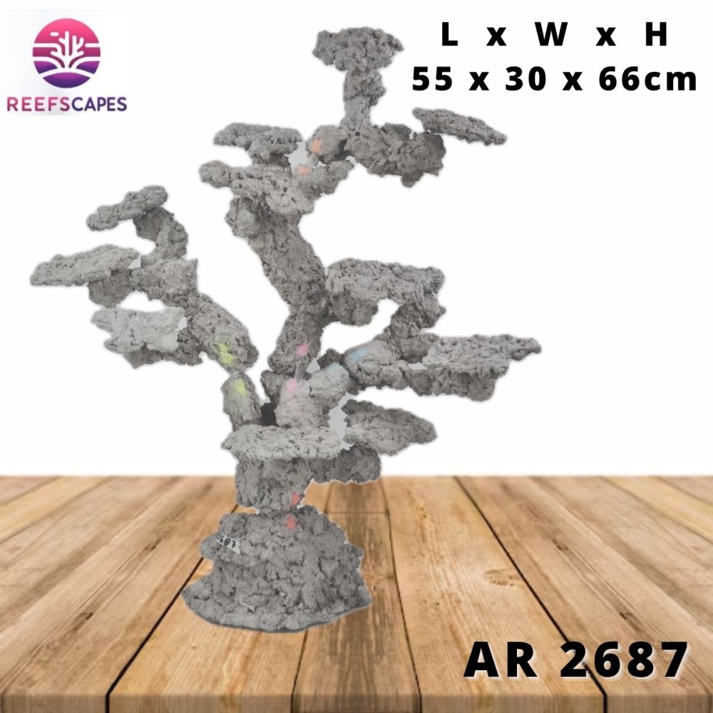 ReefScapes X-Large Scape Ref 2687