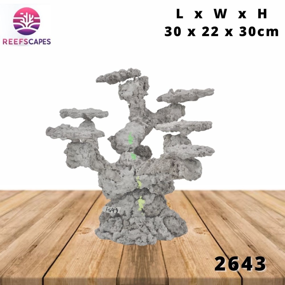 ReefScapes Small Scape Ref AR 2643