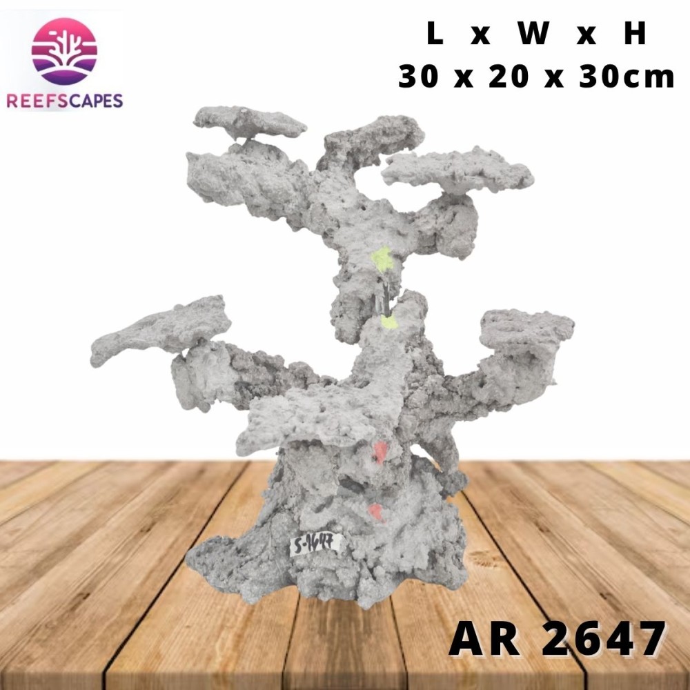 ReefScapes Small Scape Ref AR 2647