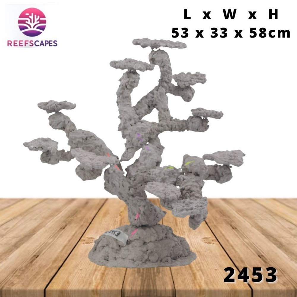 ReefScapes X-Large Scape Ref 2453