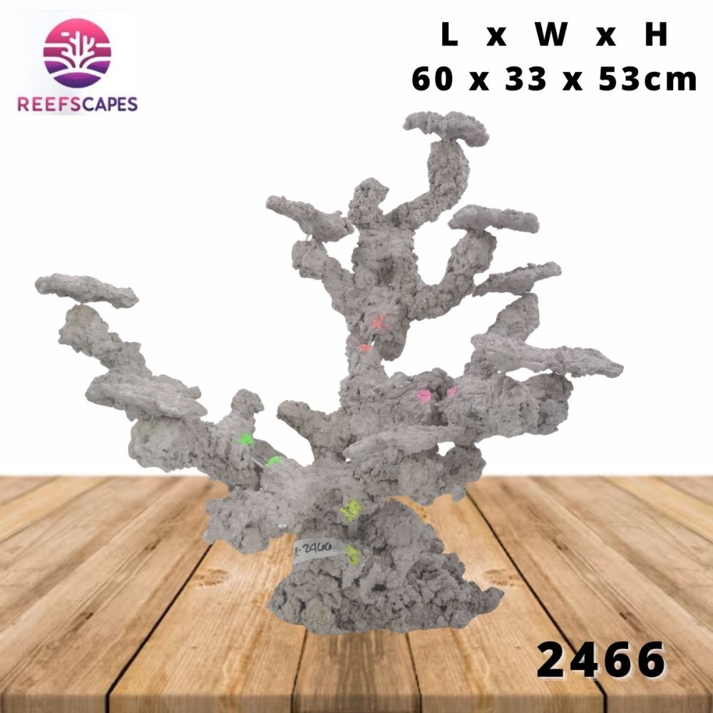 ReefScapes X-Large Scape Ref 2466