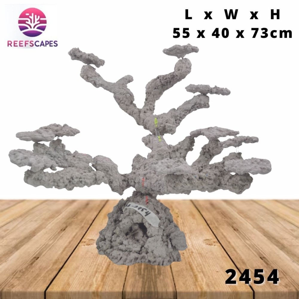 ReefScapes X-Large Scape Ref 2454