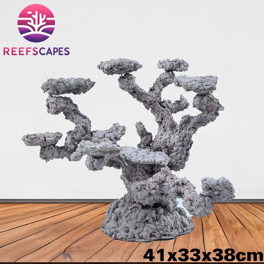 ReefScapes Large Scape Ref 1183