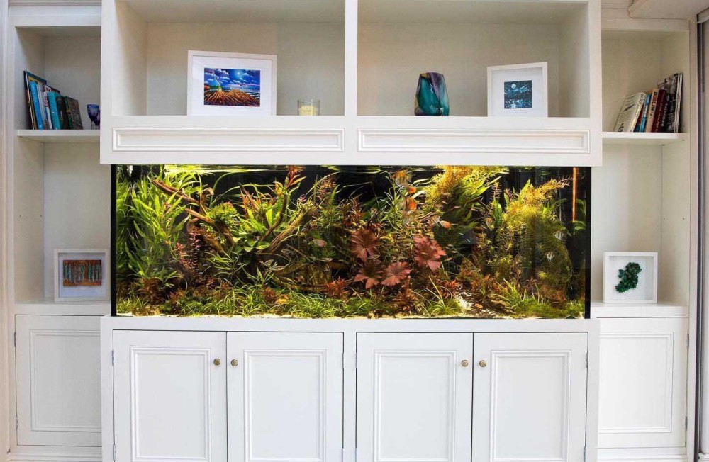 Serene 1000L Custom-Built Planted Aquarium