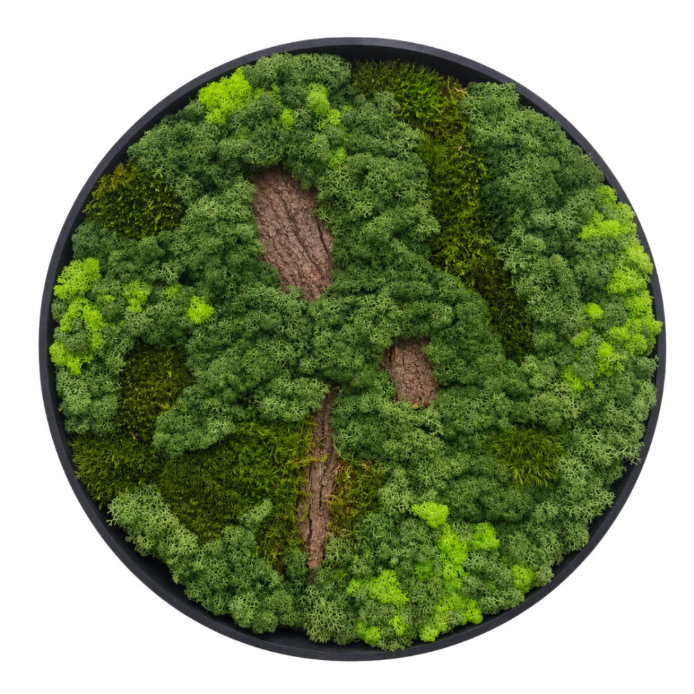 Moss Art L Circle with Enrichment Ref 307