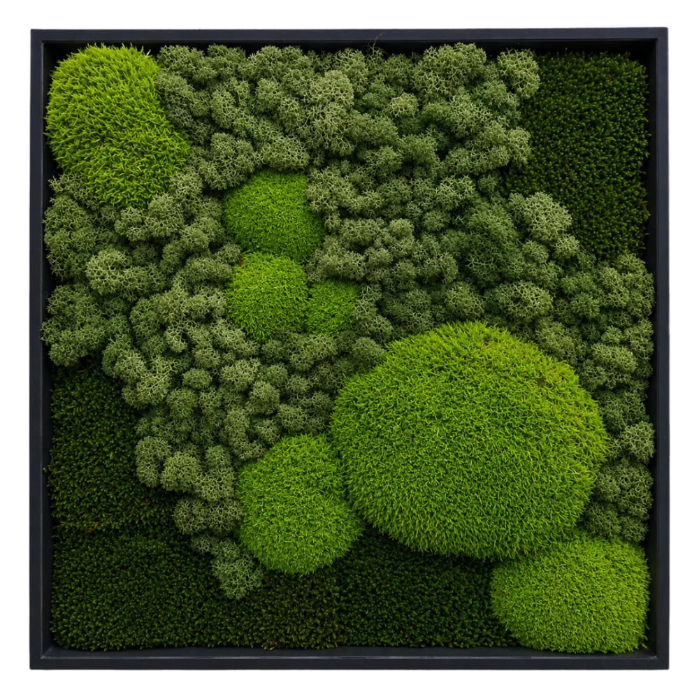 Moss Art L Square Ref 503