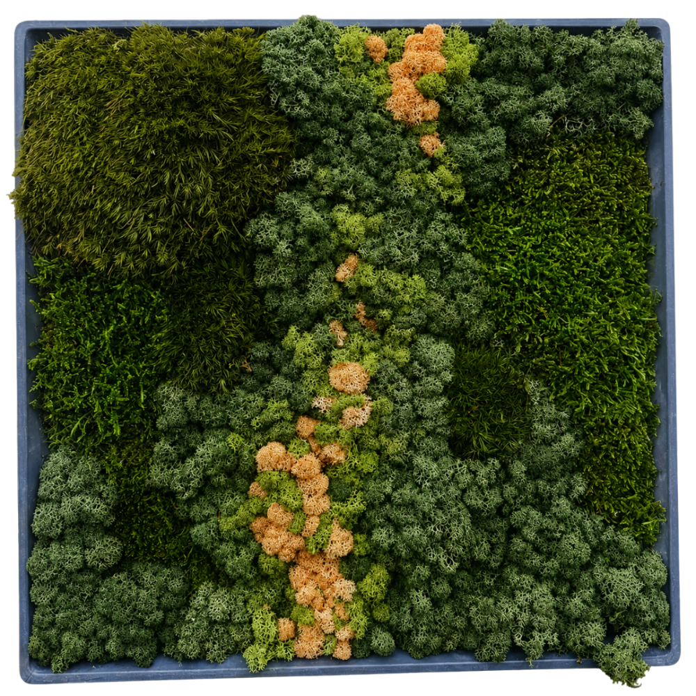 Moss Art L Square Ref 504