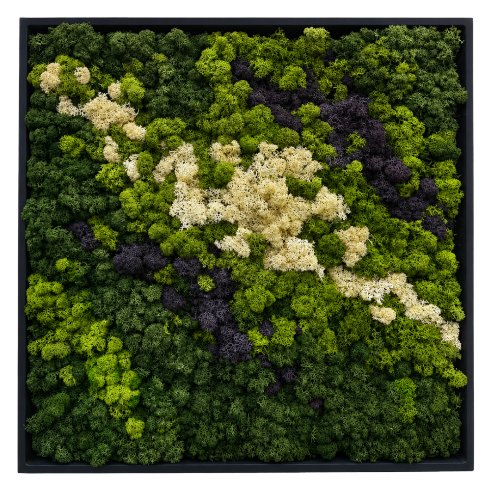 Moss Art L Square Ref 507