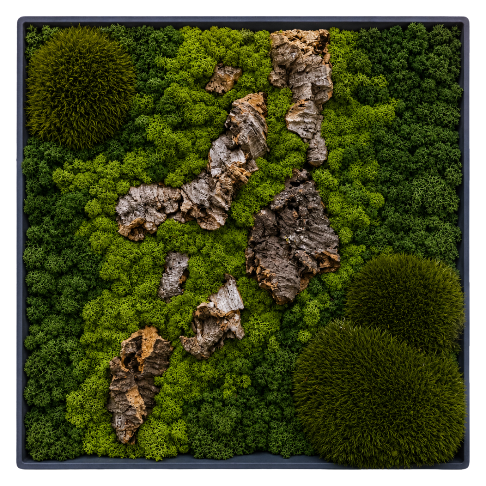 Moss Art L Square with Enrichment Ref 702