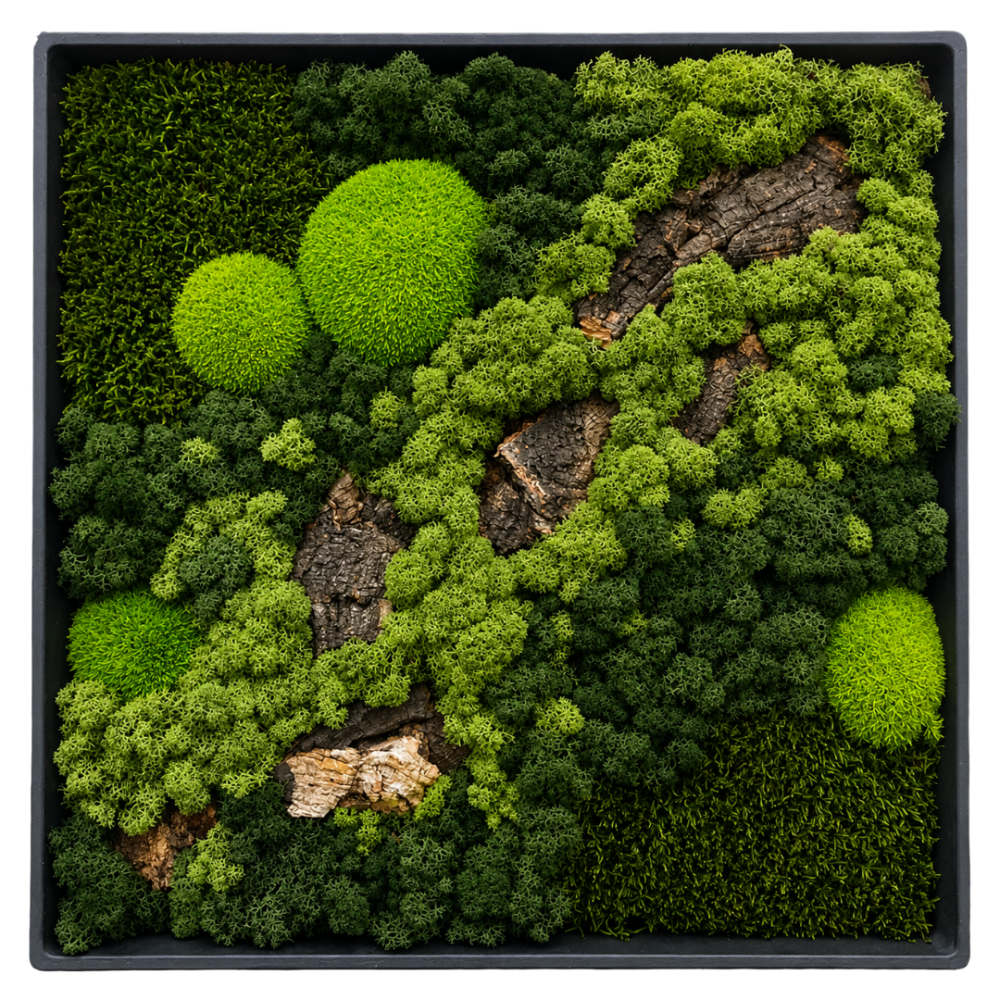 Moss Art L Square with Enrichment Ref 703