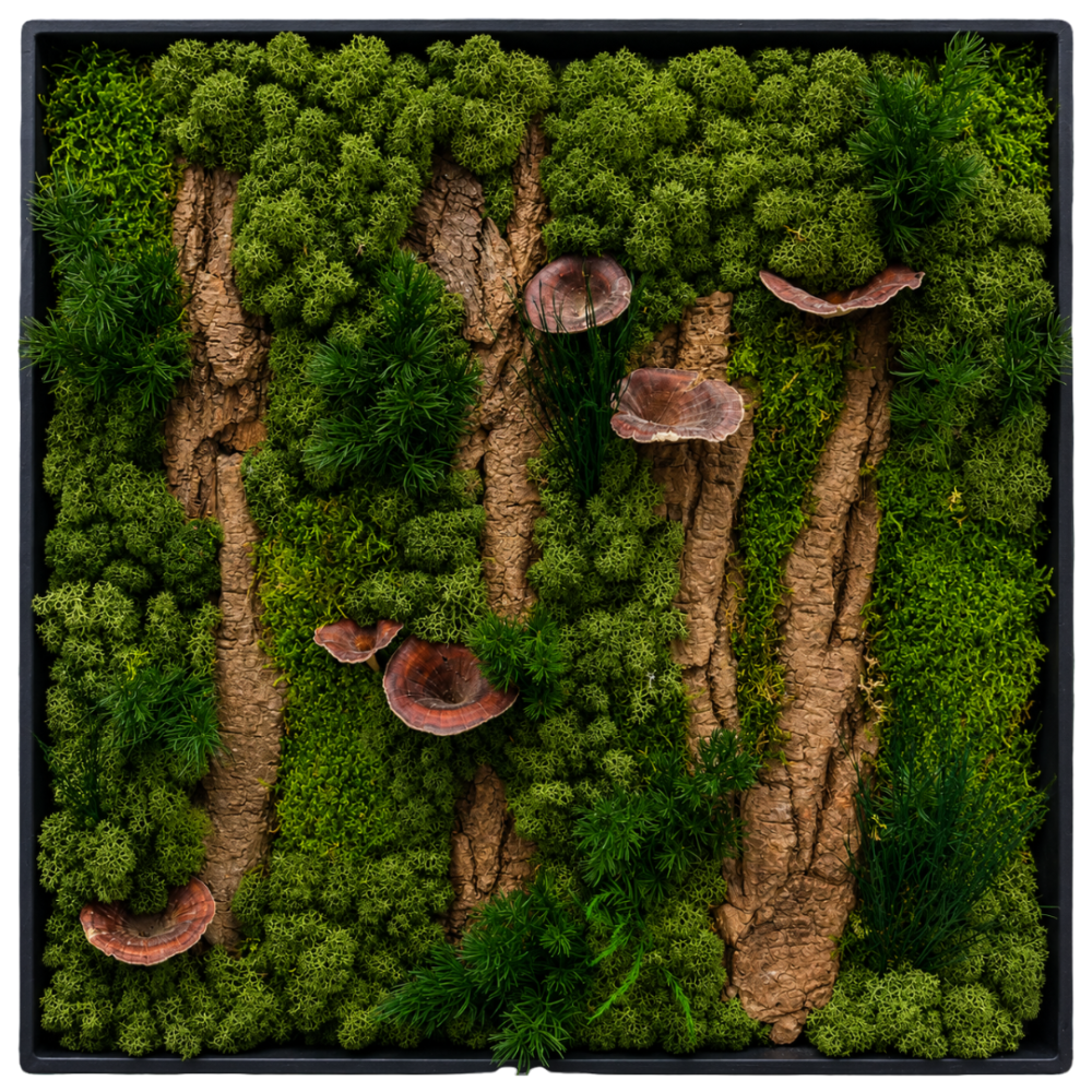Moss Art L Square with Enrichment Ref 704