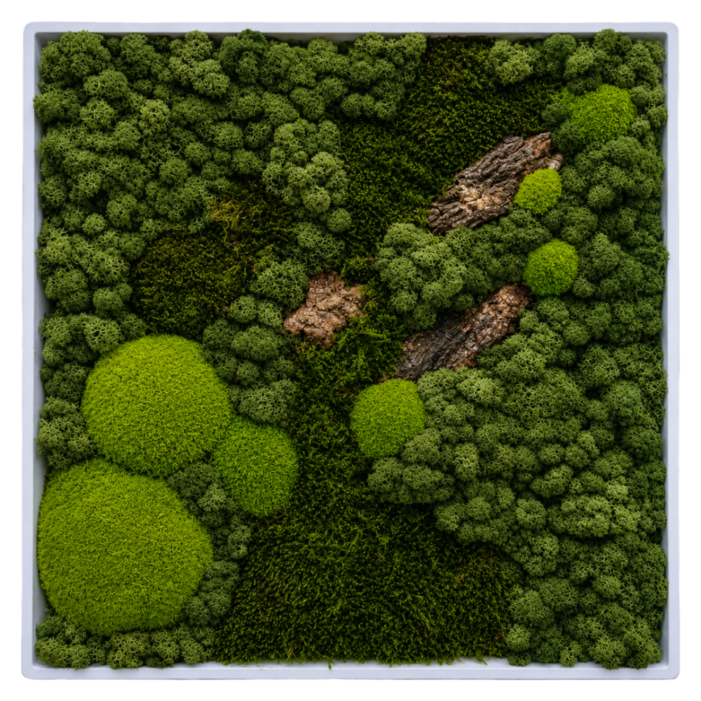 Moss Art L Square with Enrichment Ref 705