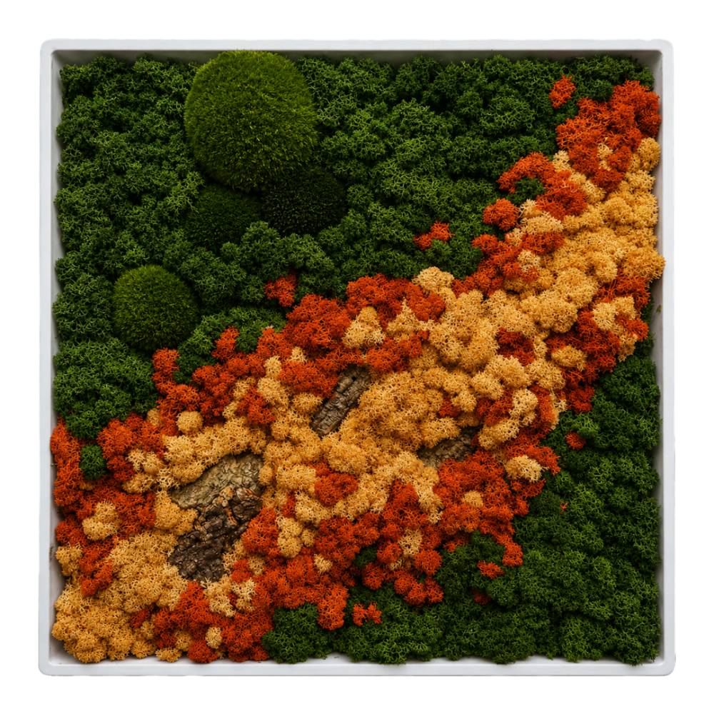 Moss Art L Square with Enrichment Ref 706