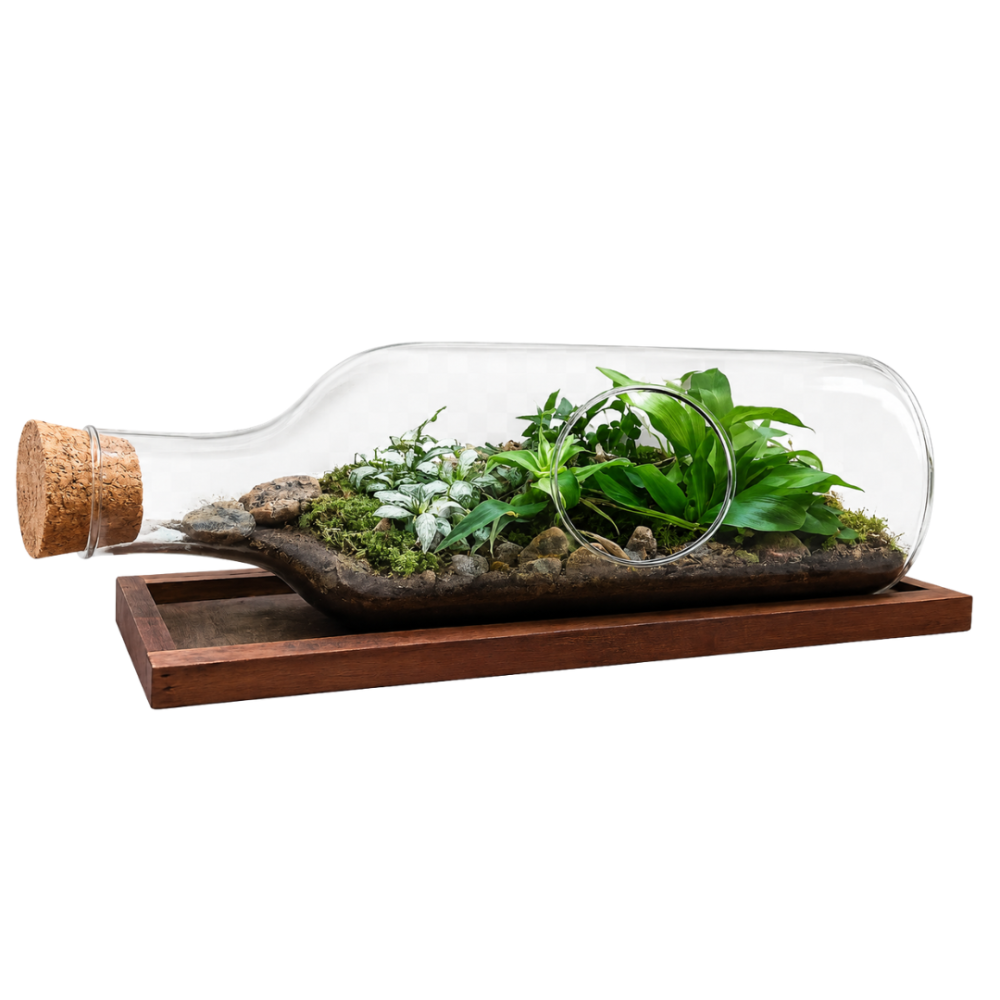 Terrarium Arrangement Flat Bottle xl 48x15cm