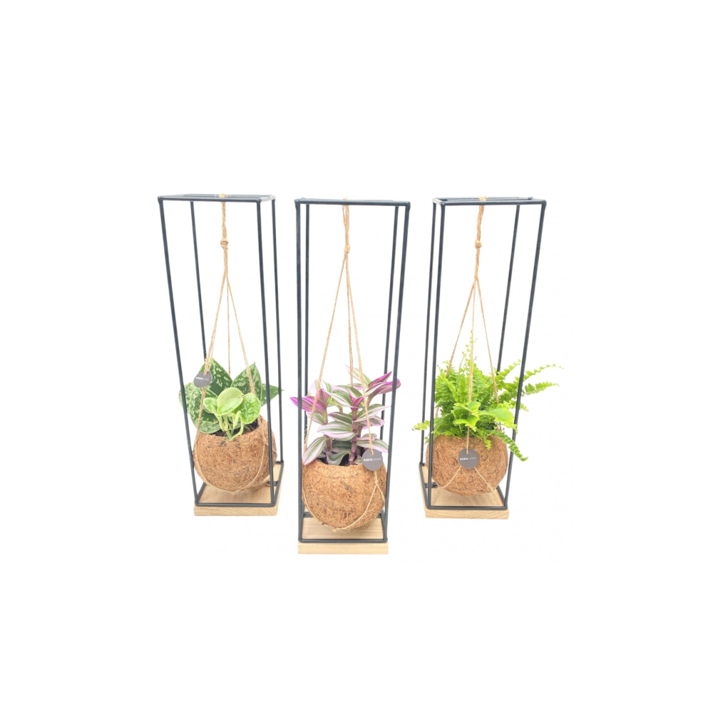 Hanging Kokedama Frame 12cm