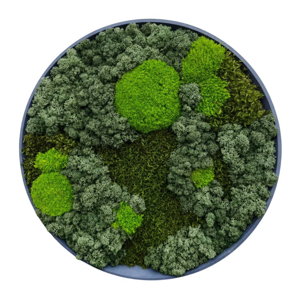 Moss Art L Circle Ref 103