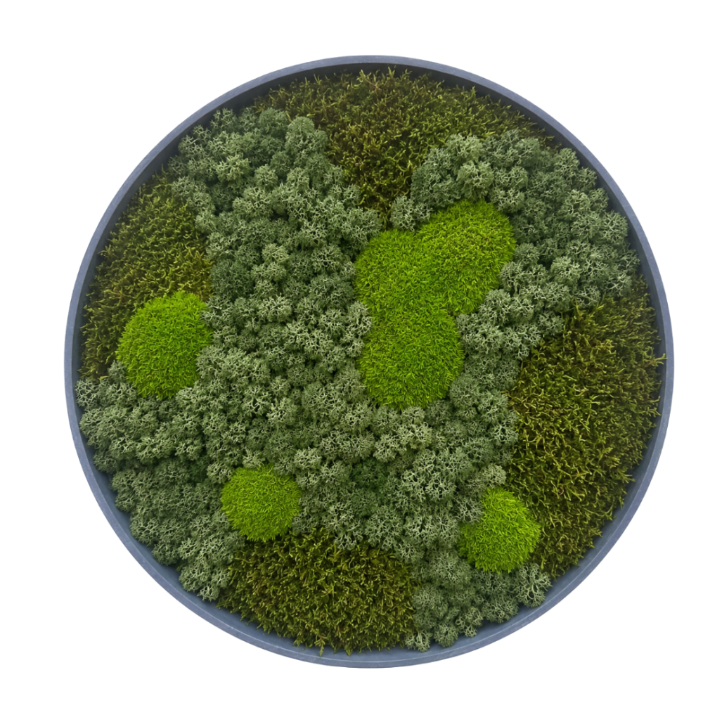 Moss Art L Circle Ref 105