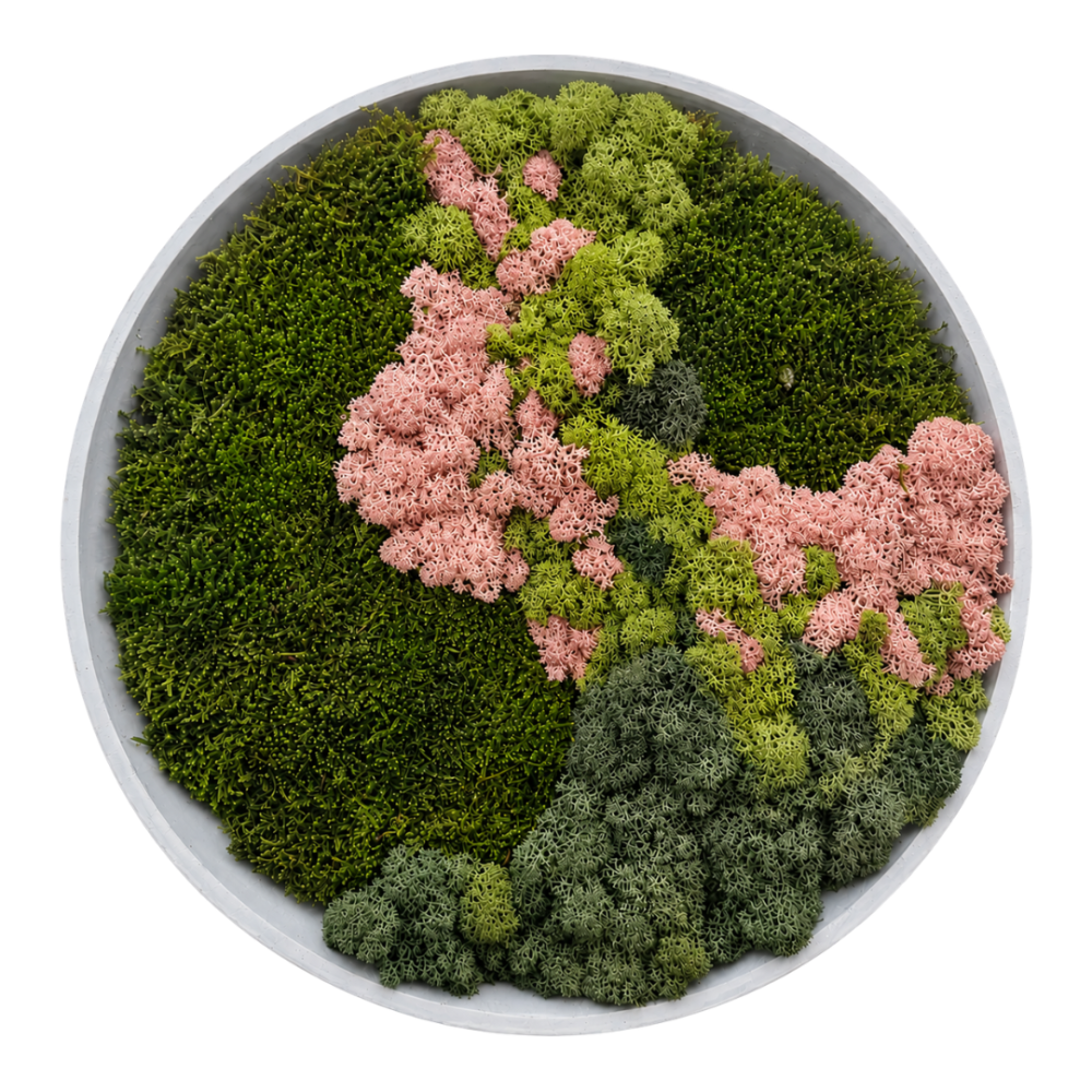 Moss Art S Circle Ref 001