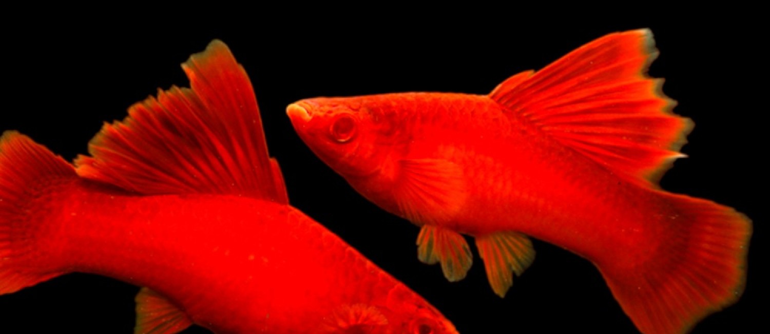 Freshwater New Additions 08-06-23