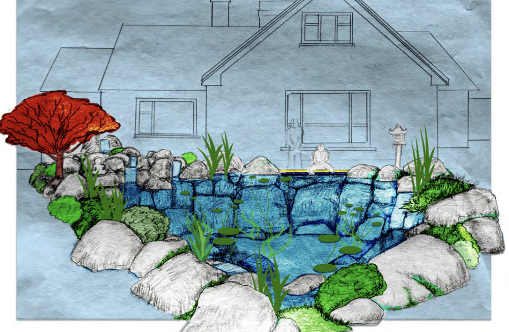 Project Showcase: Bespoke Garden Pond Design