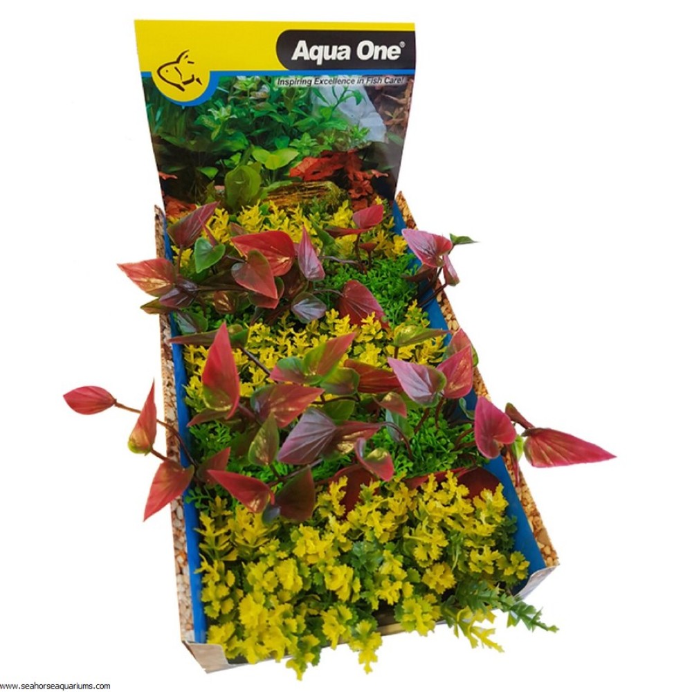 AquaOne Ecoscape Foreground Catspaw PU/Ambulia GN Mix Punnet 5pk Dis Box