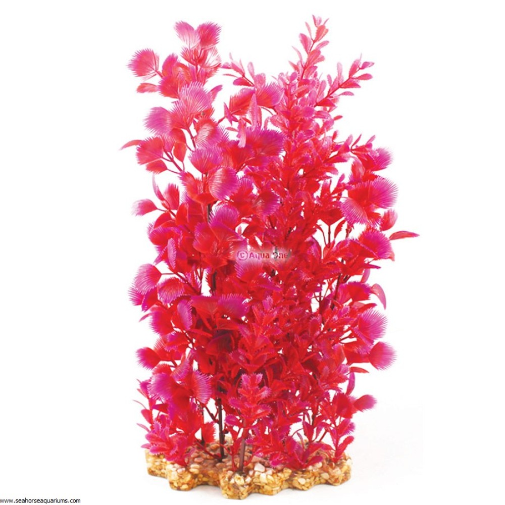 Aquaone Pink Hottonia XL