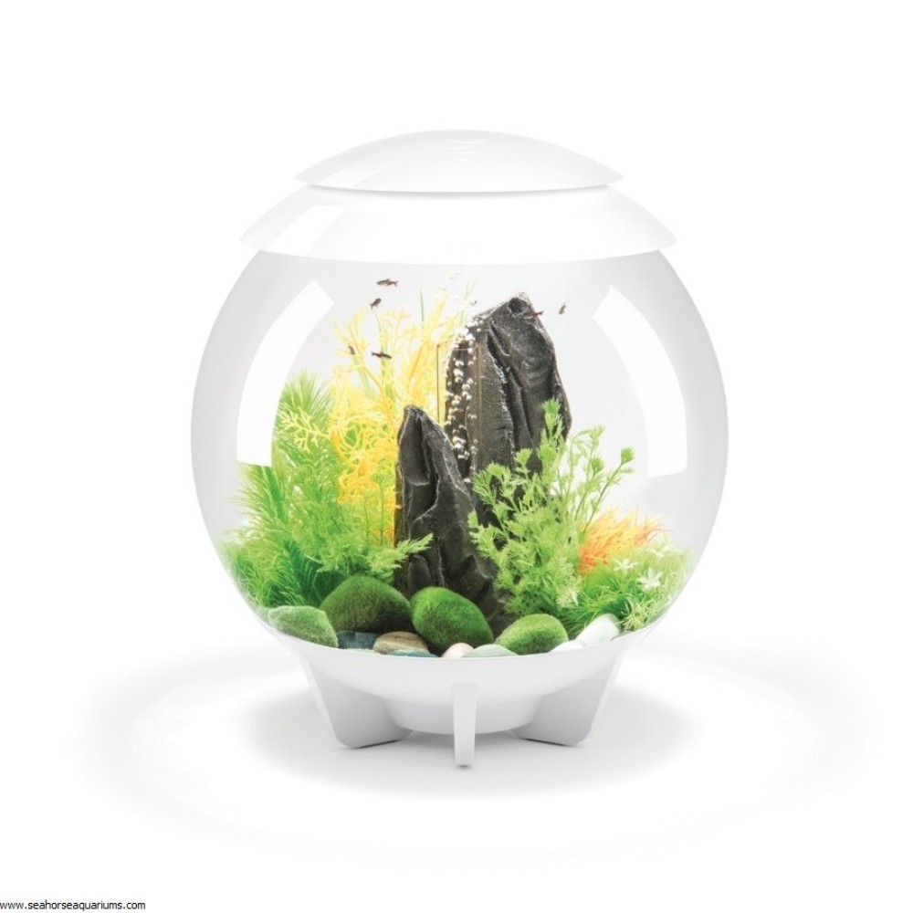 BiOrb HALO LED Aquarium 30 Litre White | Pets At Home