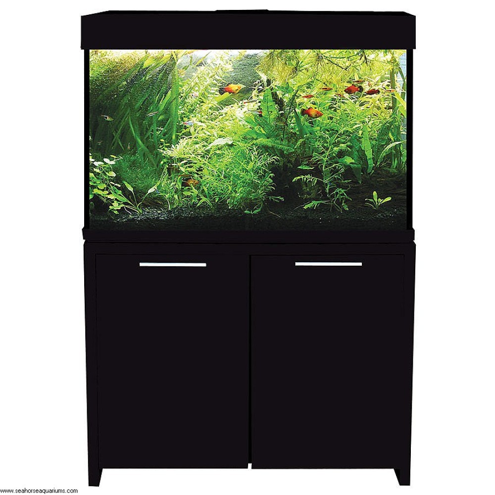 Aqua One Eurostyle 100 Black