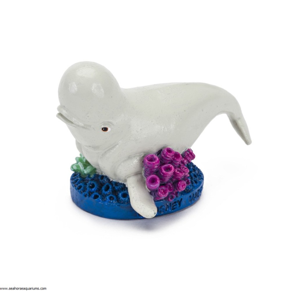 Finding Dory Bailey & Coral