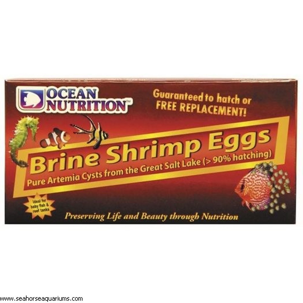 Brine Shrimp Eggs 50g