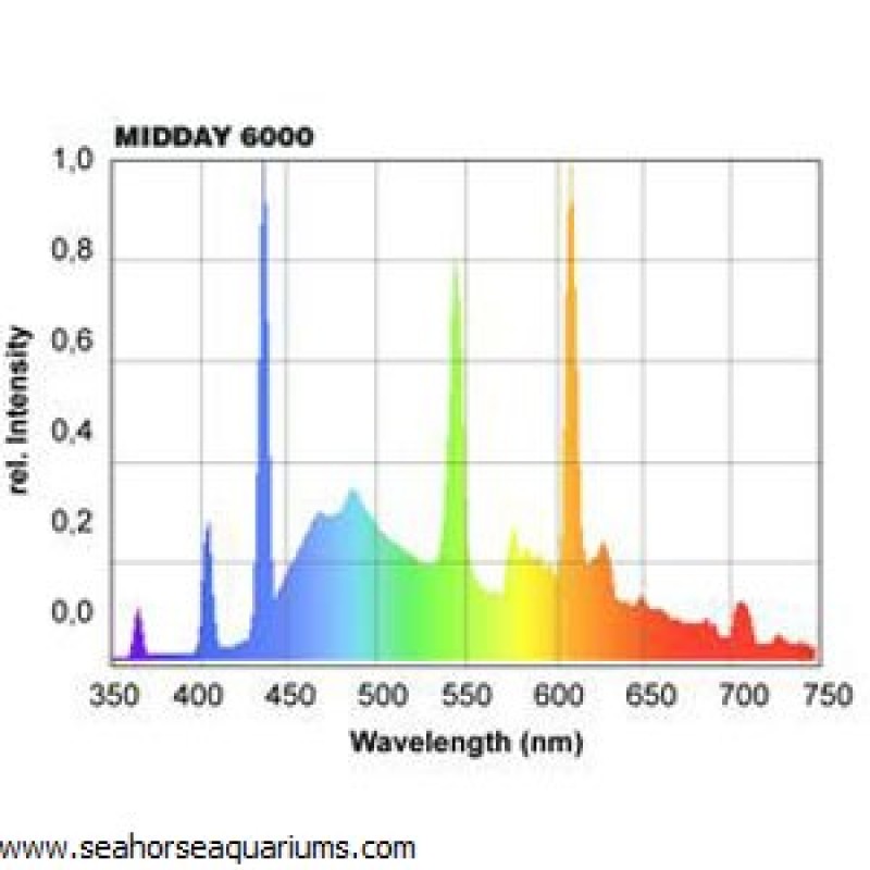 T5 Midday 6000K 39w Bulb