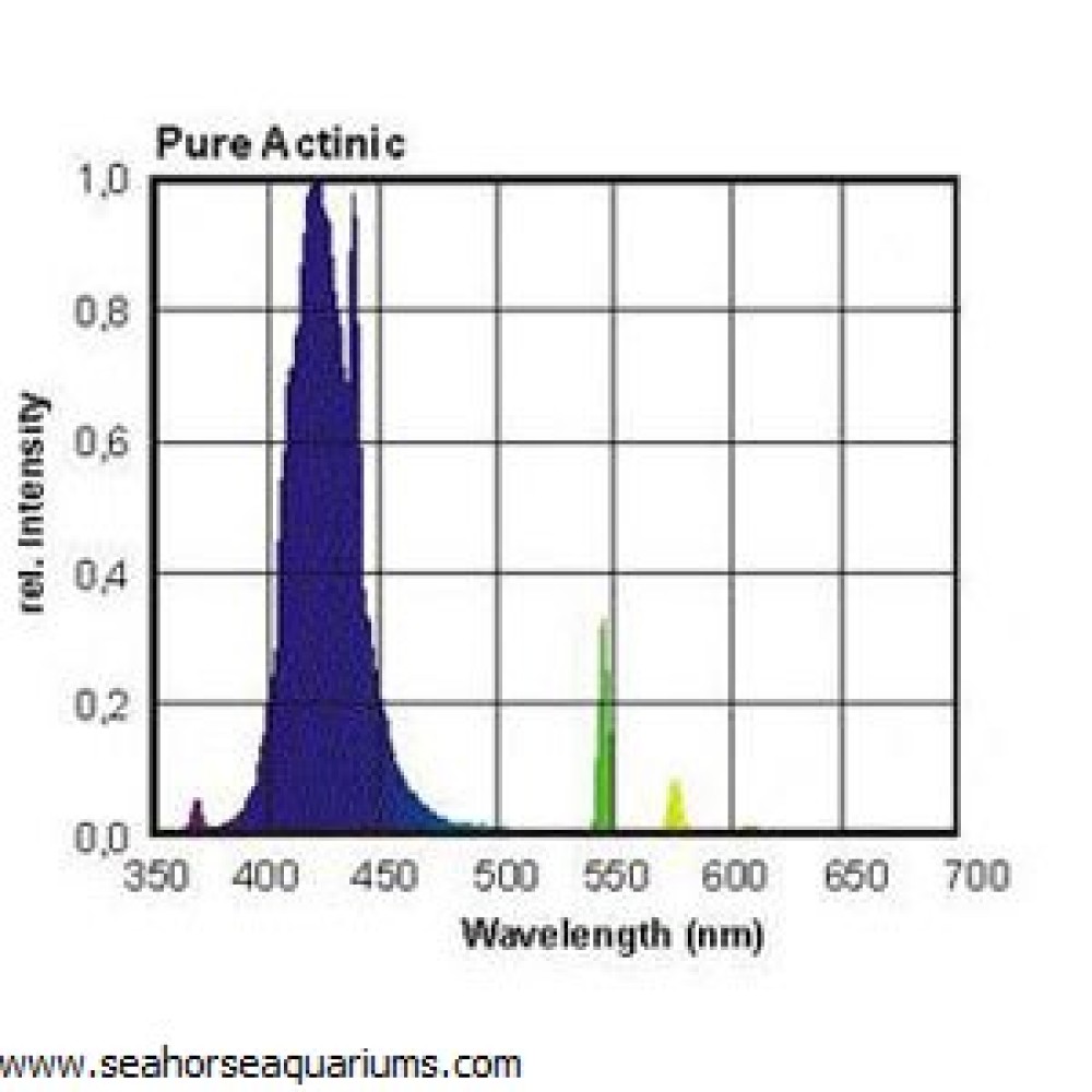 T5 Pure Actinic 24w Bulb