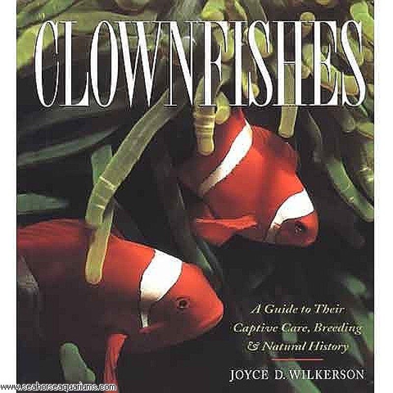 Clownfishes